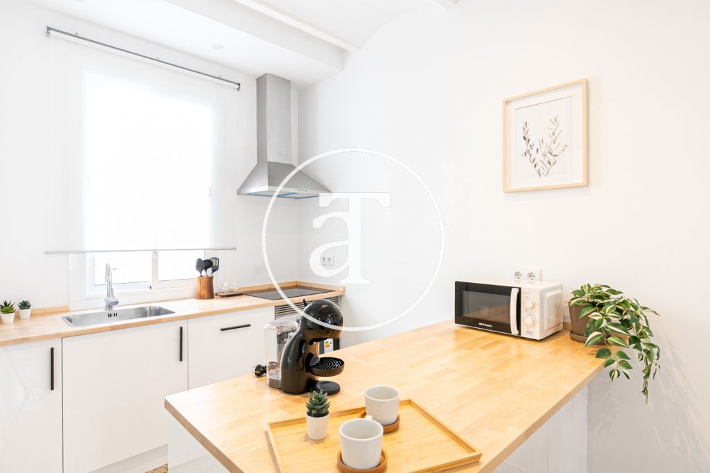 Brand new monthly rental apartment with 2 bedrooms in the Barceloneta area 13