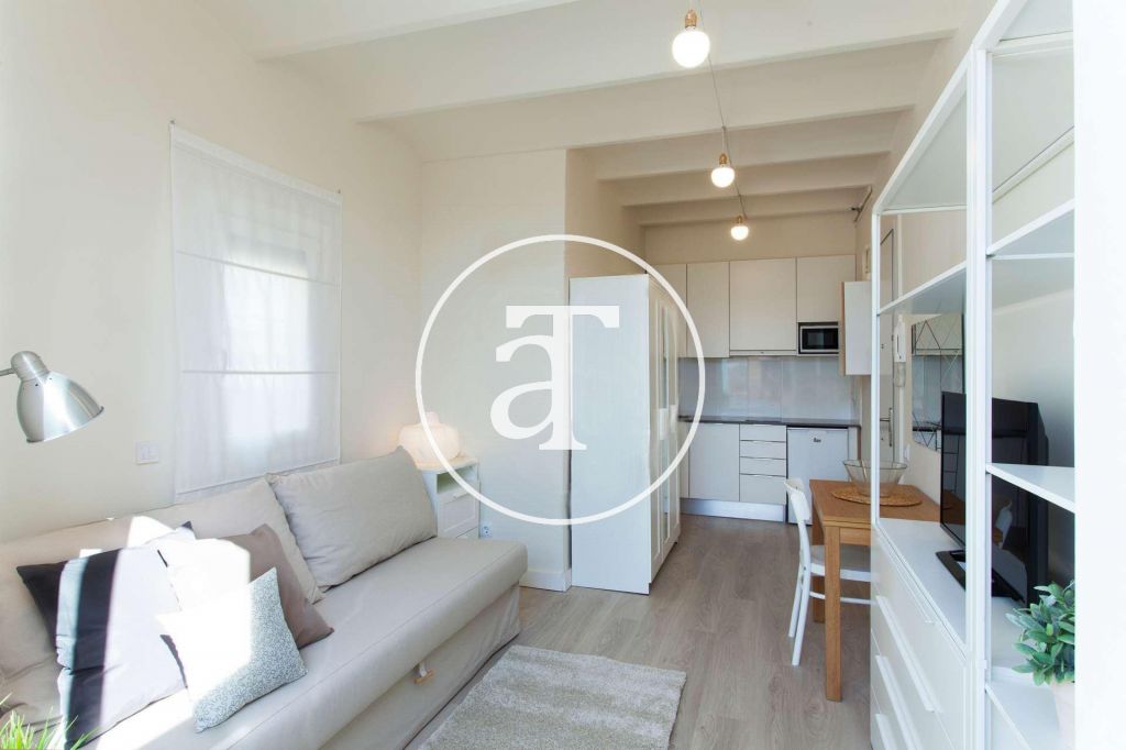 Penthouse for temporary rental in El Poblenou 4