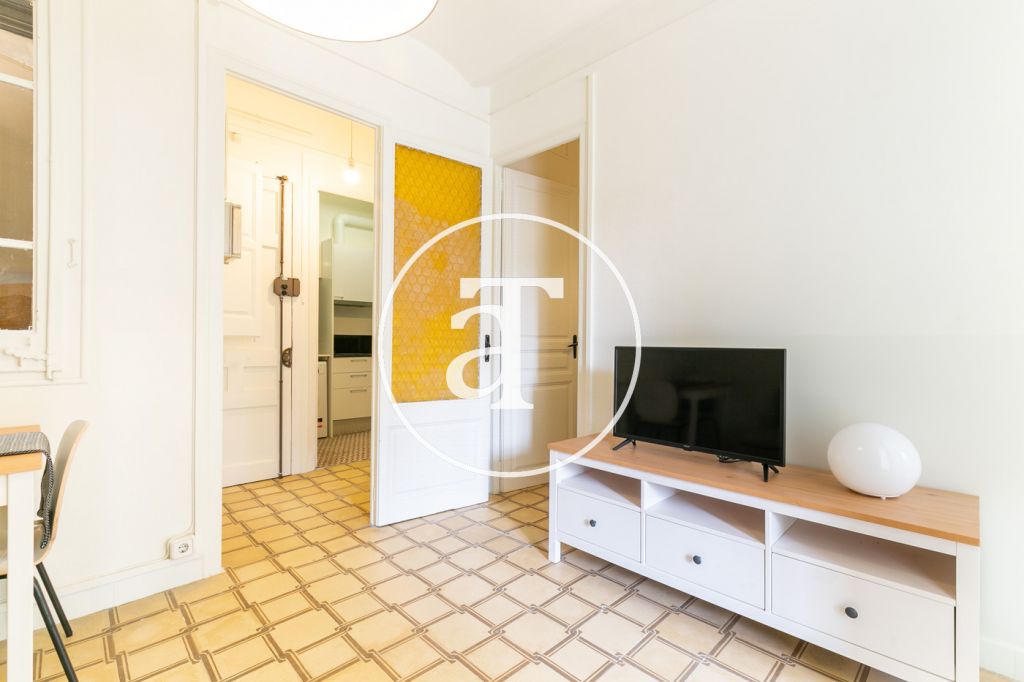 Monthly rental apartment with 2 bedrooms in Poblenou 3