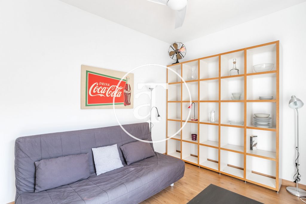 Monthly rental apartment with 1 bedroom in Villa de Gracia 3