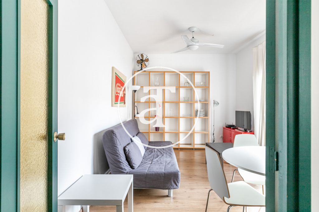 Monthly rental apartment with 1 bedroom in Villa de Gracia 8