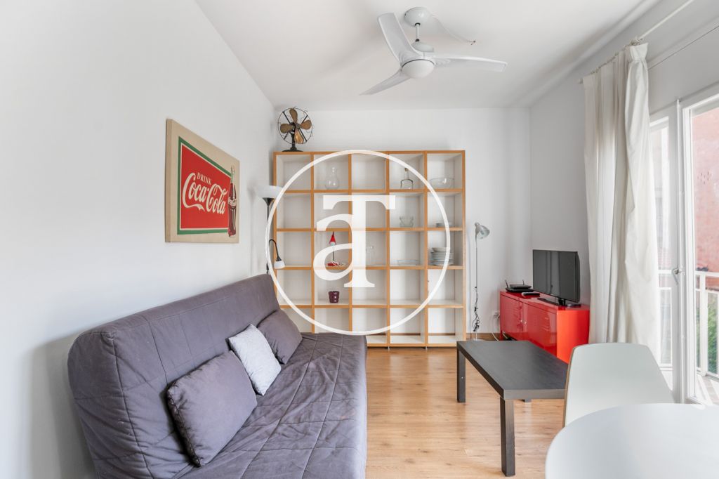 Monthly rental apartment with 1 bedroom in Villa de Gracia 4
