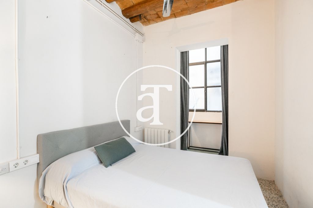 Monthly rental apartment with 1 bedroom a few steps away from Montjuic 18