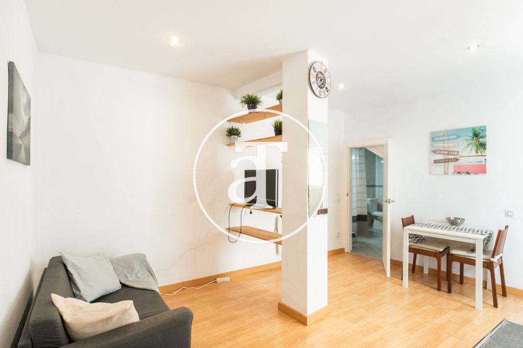 Monthly rental apartment with one bedroom in a central area of Barcelona 2