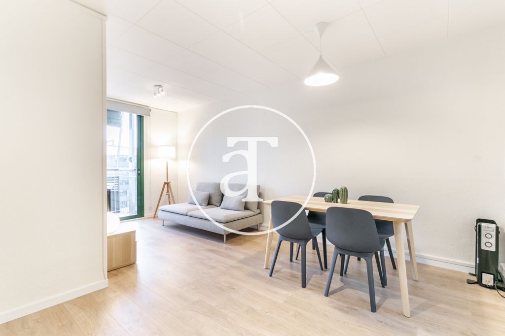 Monthly rental apartment with 2 double bedrooms in Poblenou