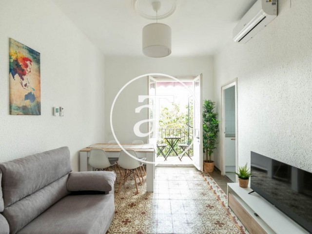 Monthly rental apartment with 2 bedrooms and studio in Horta