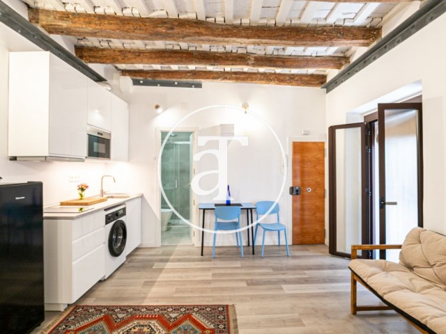 Monthly rental studio close to the Jaume station