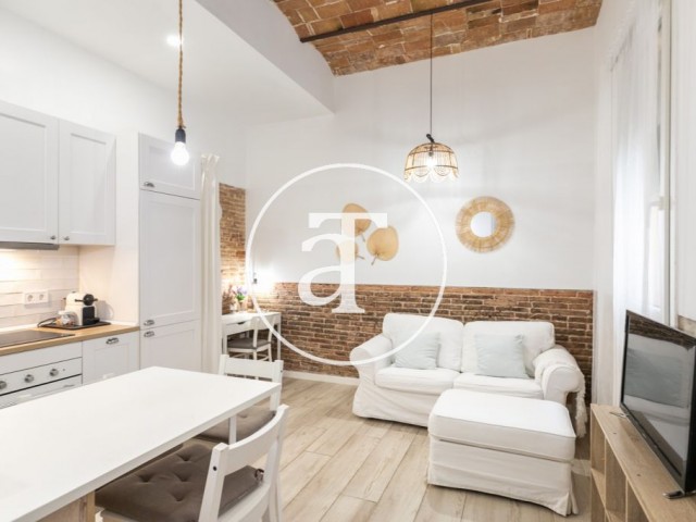 Monthly rental apartment with 1 bedroom in Barceloneta