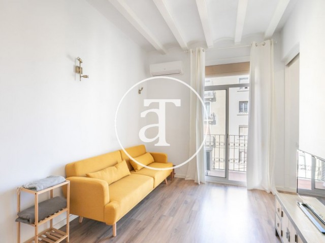 Monthly rental apartment with 1 bedroom in Poble Nou