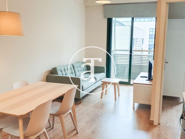 Bright furnished apartment in Poblenou