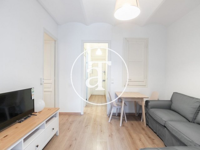 Bright furnished apartment in Poblenou